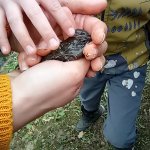 phoca_thumb_m_kytiky a ba 12 Fotogalerie